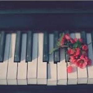 Meet your Posher, Rose